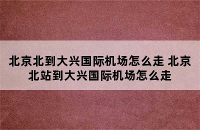 北京北到大兴国际机场怎么走 北京北站到大兴国际机场怎么走